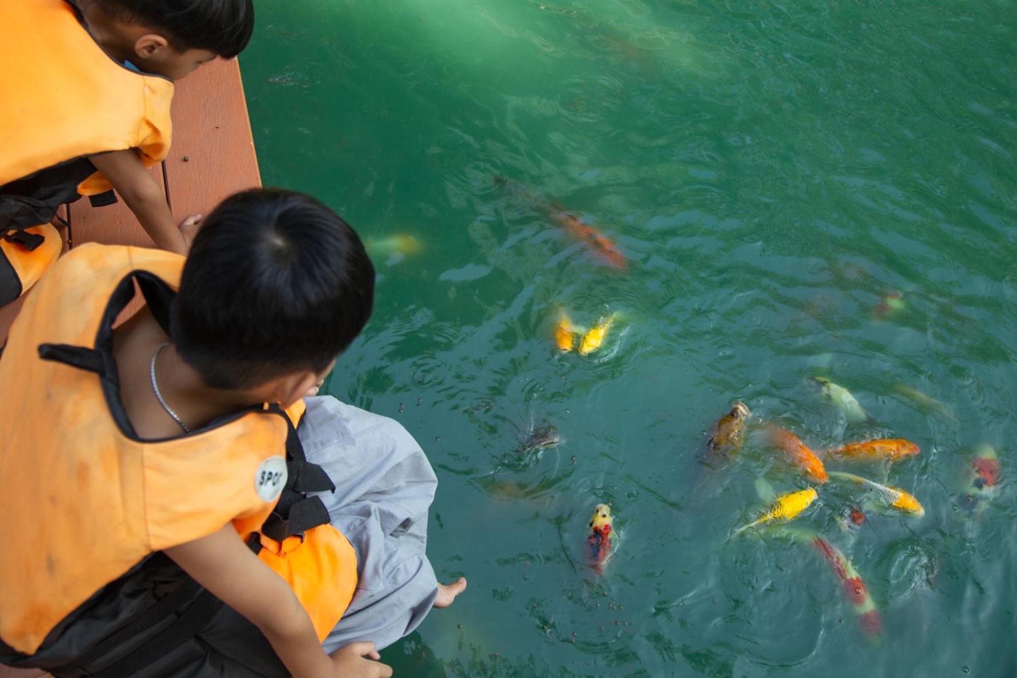 วังภูไพร ฟาร์มสเตย์ Wang Nam Khiao Extérieur photo
