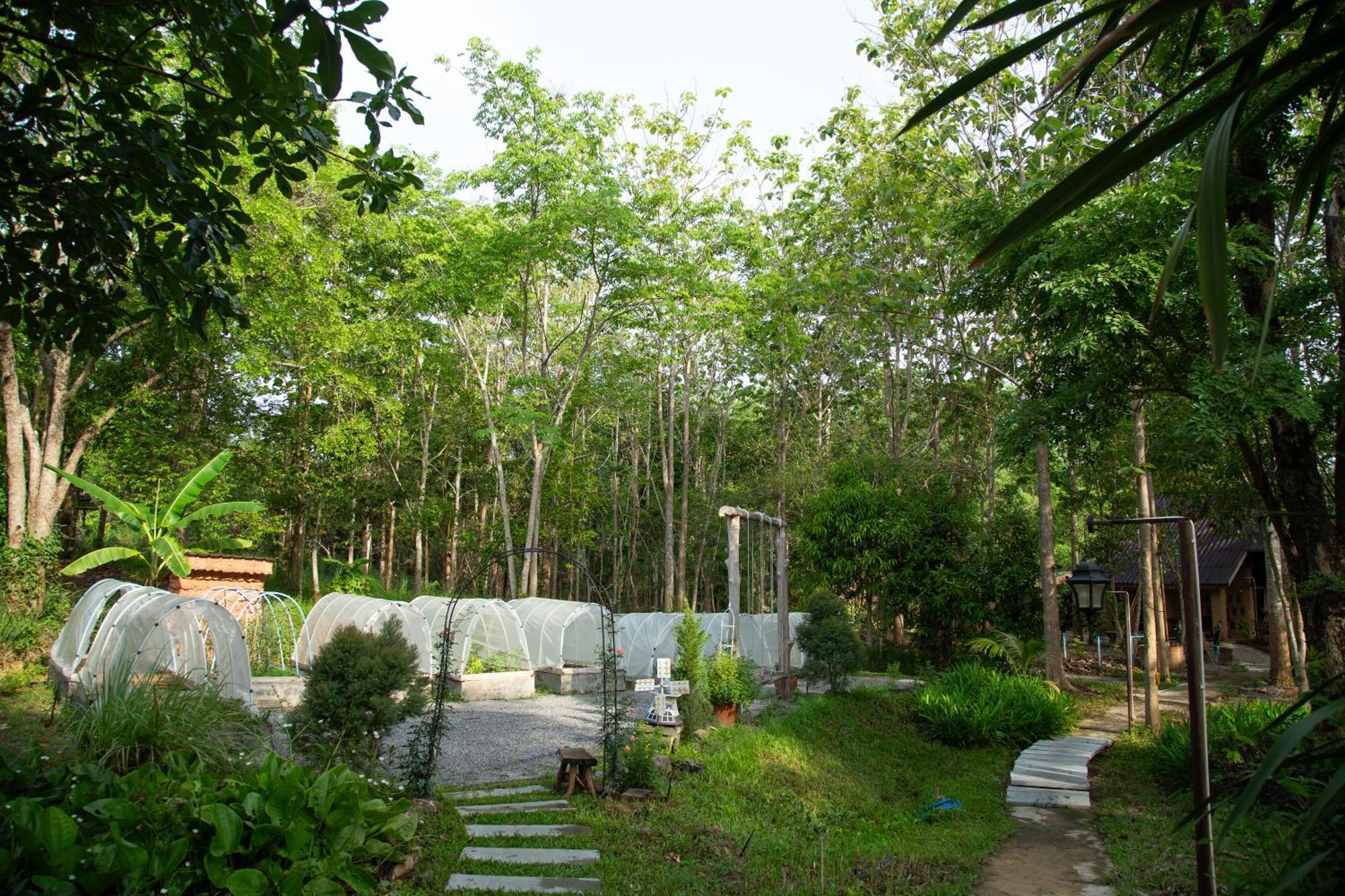 วังภูไพร ฟาร์มสเตย์ Wang Nam Khiao Extérieur photo